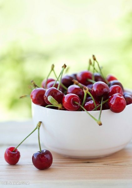  عکس گیلاس برای پروفایل