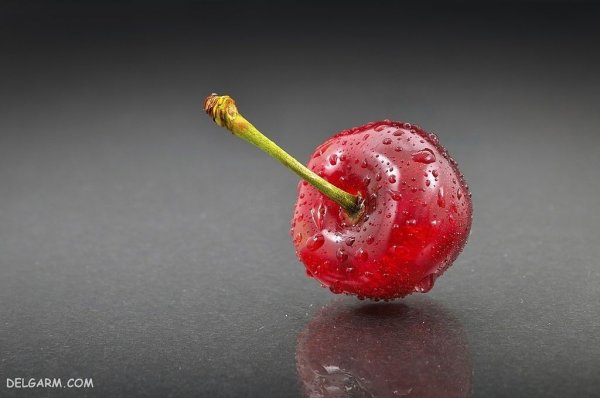  عکس گیلاس برای پروفایل