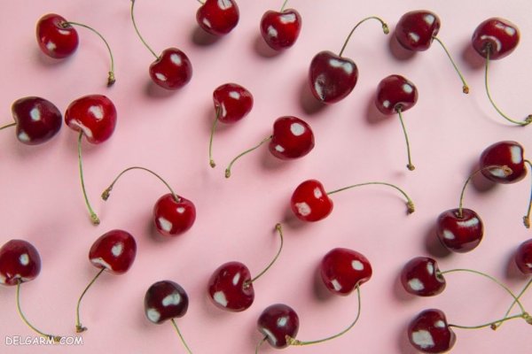  عکس گیلاس برای پروفایل