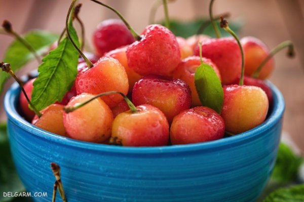  عکس گیلاس پینترستی