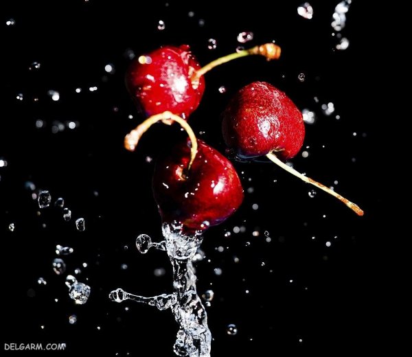  عکس گیلاس واقعی