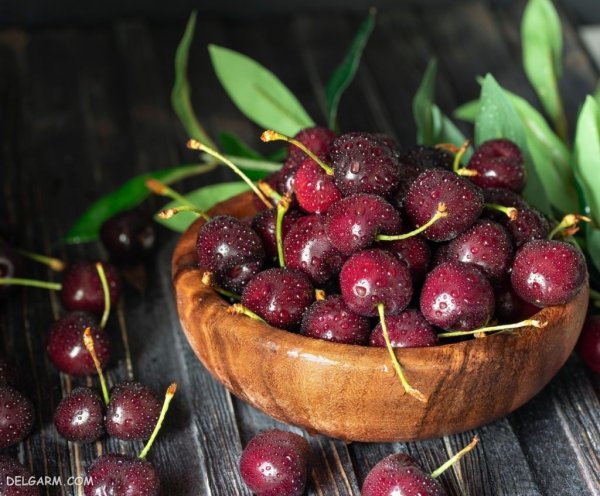  عکس گیلاس واقعی