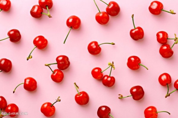  عکس گیلاس واقعی