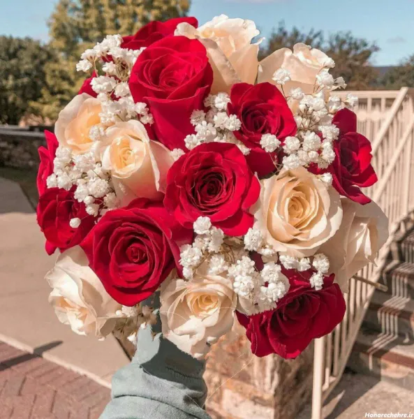  عکس گل سفید