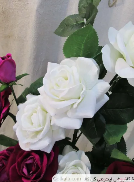  عکس گل سفید
