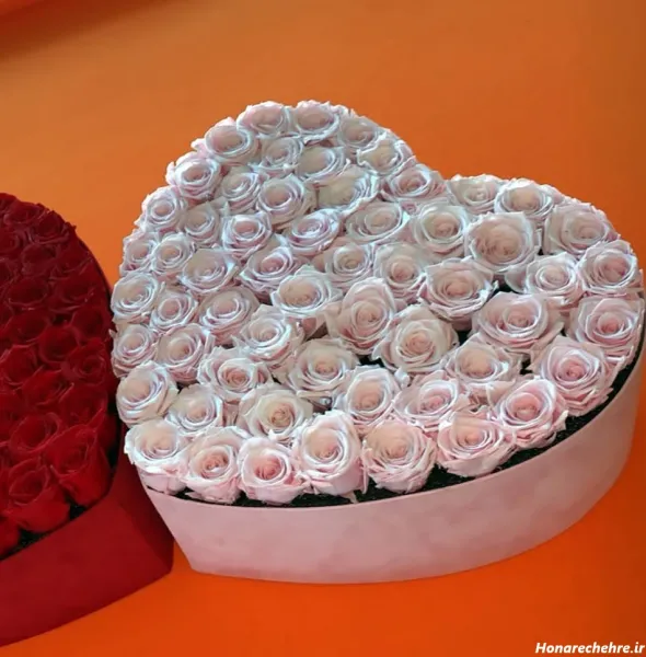  عکس گل سفید