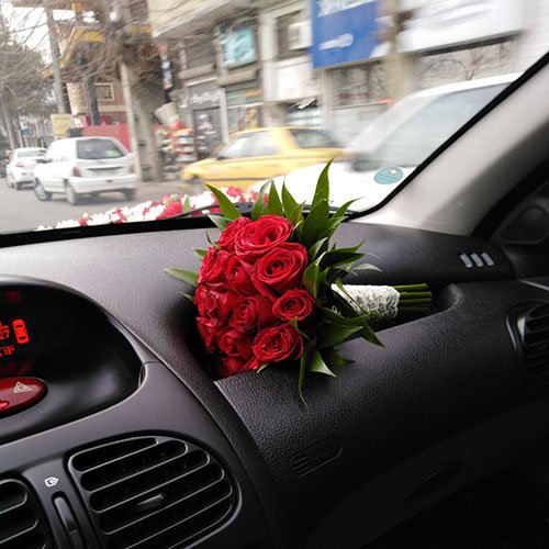  عکس گل رز قرمز برای پروفایل