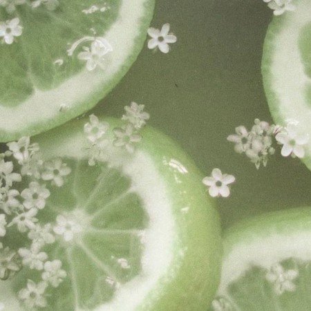  عکس گیلاس کیوت برای پروفایل