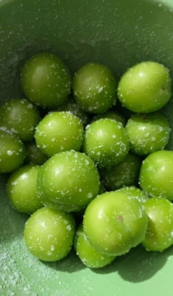  عکس گیلاس کیوت برای پروفایل