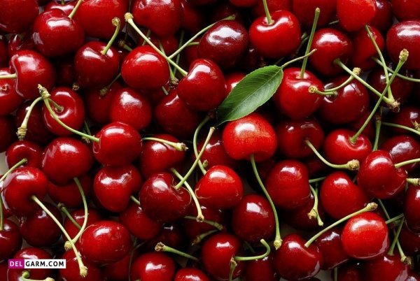 عکس آلبالو برای پروفایل