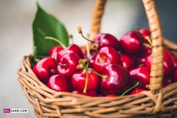  عکس آلبالو برای پروفایل