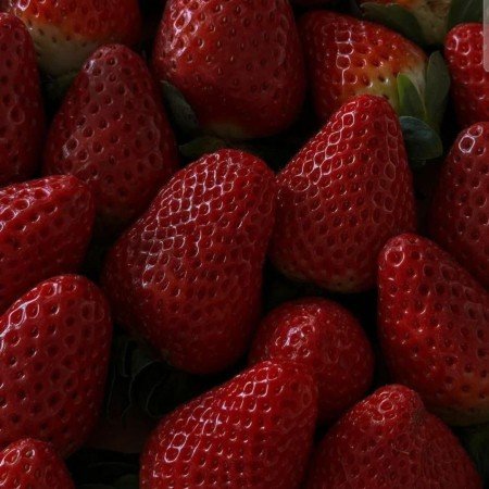  عکس توت فرنگی فانتزی