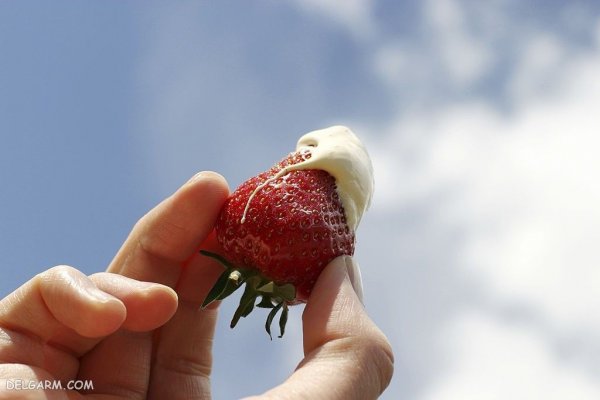  عکس توت فرنگی واقعی