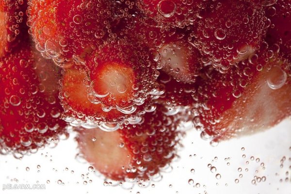  عکس توت فرنگی واقعی