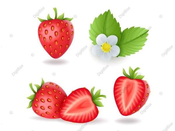  عکس توت فرنگی کارتونی