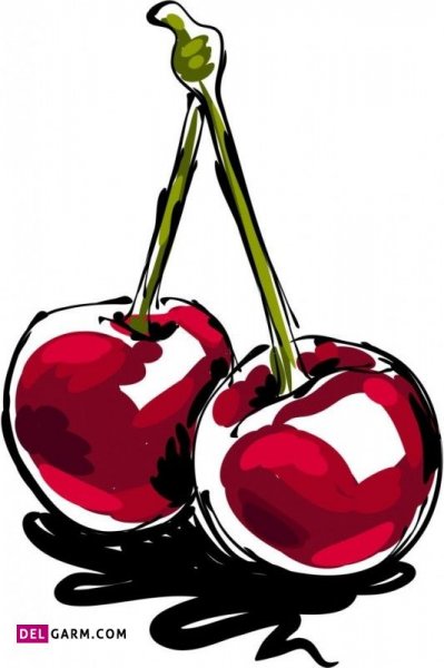  عکس آلبالو پینترستی