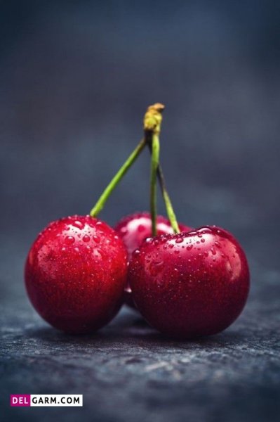  عکس آلبالو پینترستی