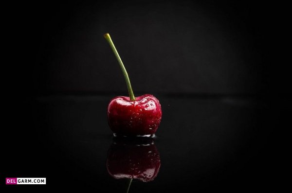 عکس آلبالو خشک