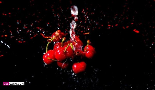  عکس آلبالو خشک