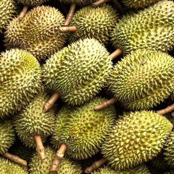  عکس میوه طبیعی