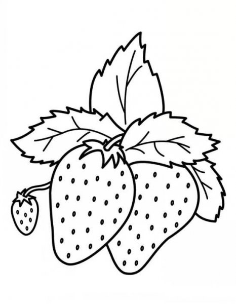  عکس میوه ها برای کودکان