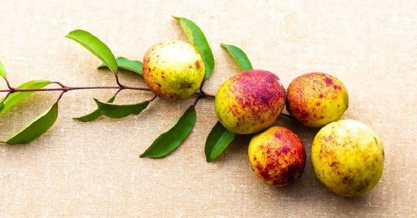  عکس تمام میوه های جهان