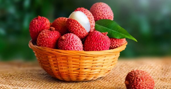  عکس تمام میوه های جهان