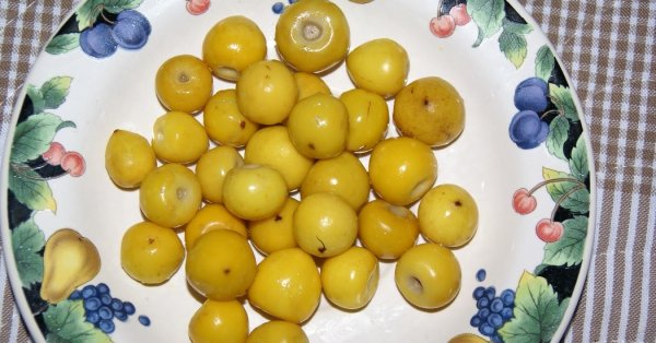  عکس تمام میوه های جهان