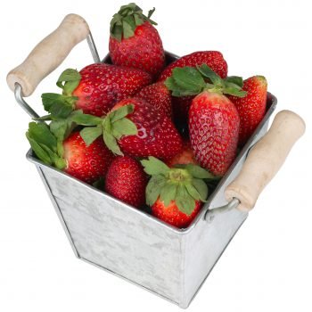  عکس میوه تکی