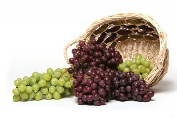  عکس میوه تکی