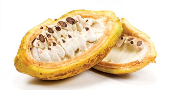  عکس میوه های عجیب و غریب