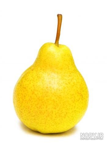  عکس میوه کارتونی