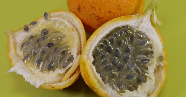  عکس میوه های خارجی