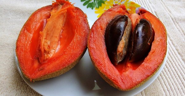  عکس میوه های خارجی