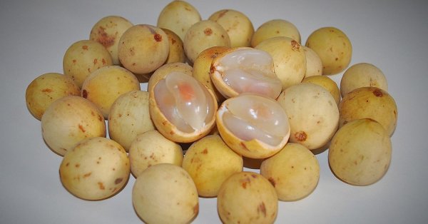  عکس میوه های خارجی