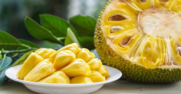  عکس میوه های خارجی