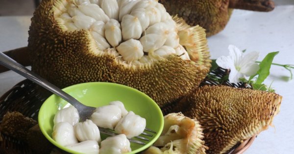  عکس میوه های خارجی