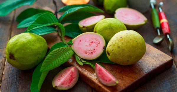  عکس میوه های زیبا