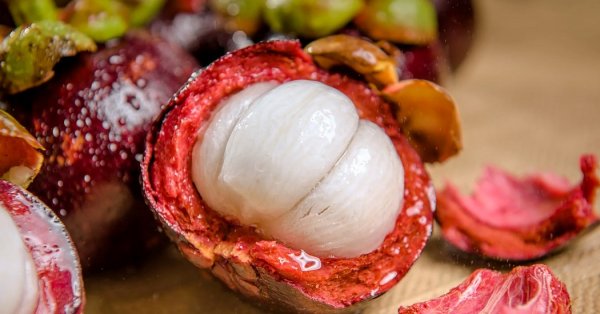  عکس میوه های زیبا