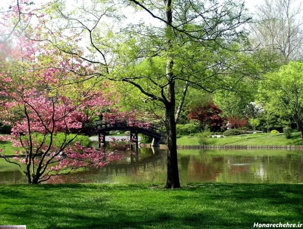 عکس پروفایل بهاری زنانه