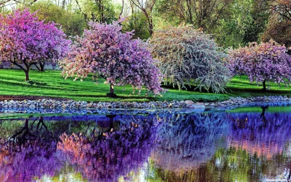  عکس طبیعت بکر بهاری