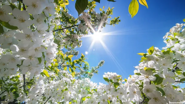 عکس پروفایل بهاری زنانه