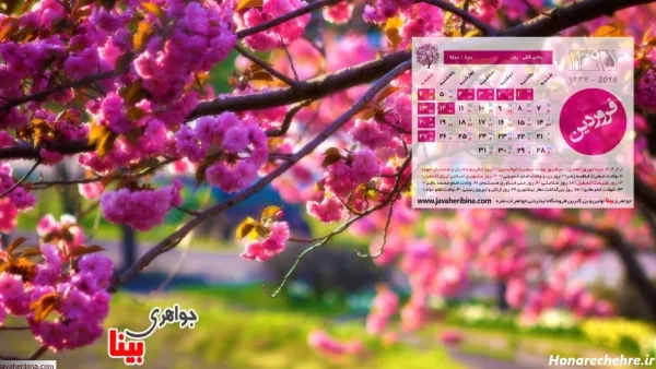 عکس پروفایل بهاری زنانه