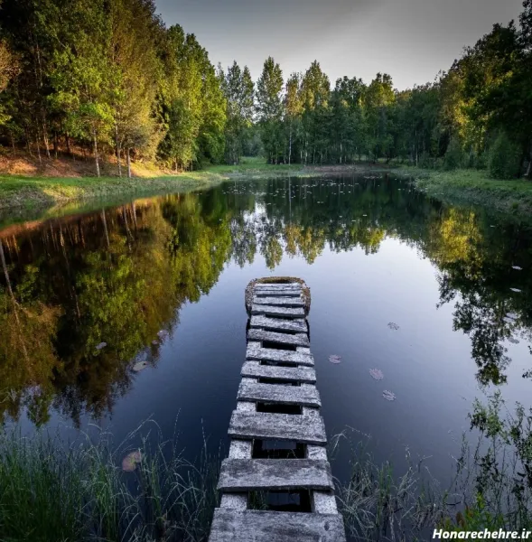  عکس پس زمینه طبیعت بکر