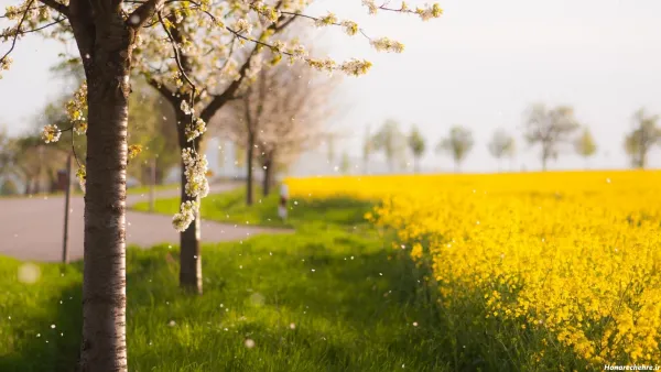  عکس پس زمینه طبیعت بکر