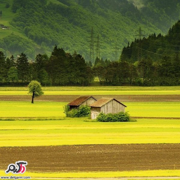  تصاویر طبیعت