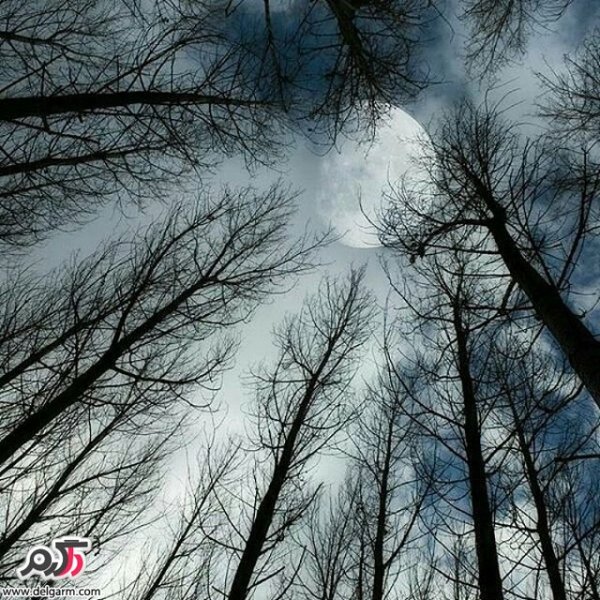  تصاویر طبیعت