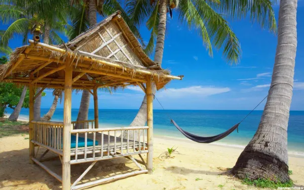  عکسهای طبیعت