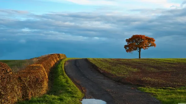  عکسهای طبیعت