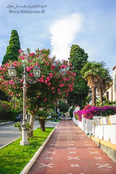  عکس فضای باز طبیعت